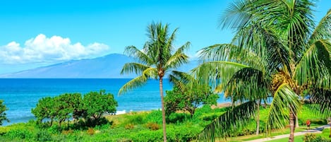 Condo (6 Bedrooms) | Front of property