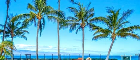 Condo (4 Bedrooms) | Pool