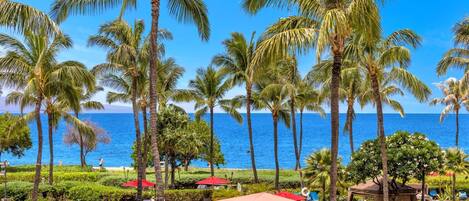 Condo (4 Bedrooms) | Quang cảnh từ phòng