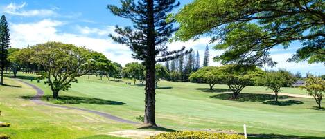 Condo (4 Bedrooms) | Front of property