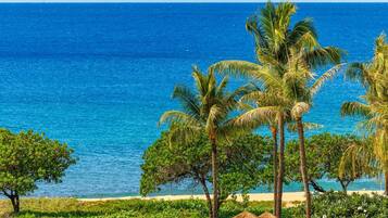 Condo (4 Bedrooms) | View from room