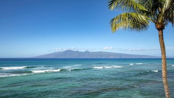 Condo (4 Bedrooms) | Front of property