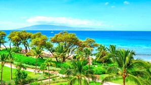 A tropical landscape with a clear view of the ocean, palm trees, and a distant mountain.