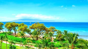 Condo (3 Bedrooms) | View from room