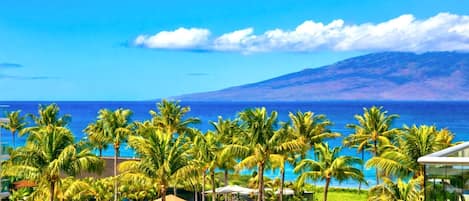 Condo (3 Bedrooms) | Front of property