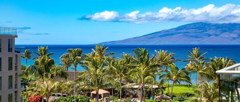 Condo (3 Bedrooms) | Front of property