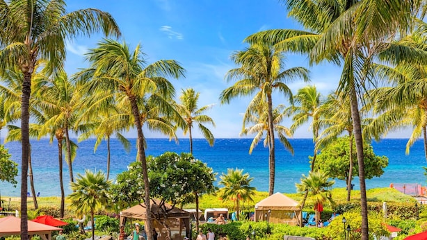 A tropical resort with palm trees, beach umbrellas, and a view of the ocean. - Honua Kai Konea Collection by KBM - 3 Units on same floor (524/537/539) (Kaanapali)