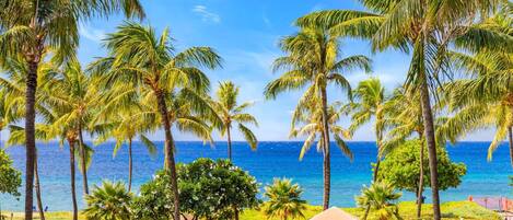 Condo (4 Bedrooms) | View from room