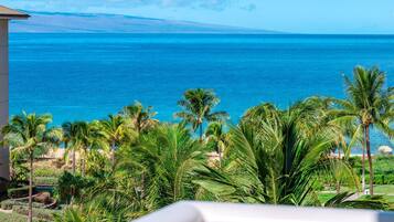 Condo (4 Bedrooms) | Front of property