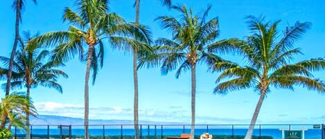 Condo (6 Bedrooms) | Pool