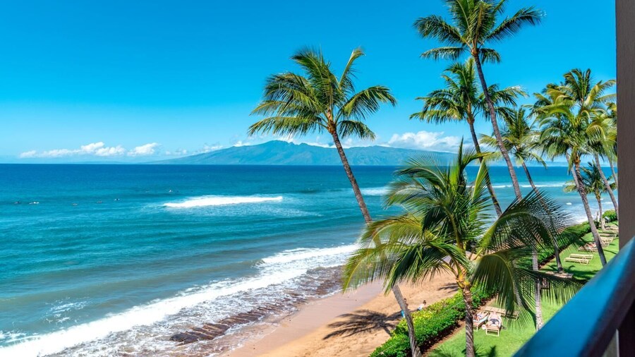 KBM Resorts Spacious 6-bedroom Mahana Collection Multi Unit Listing Same Building Ocean Front 3 Free Rental Cars! Mah-301/419/611