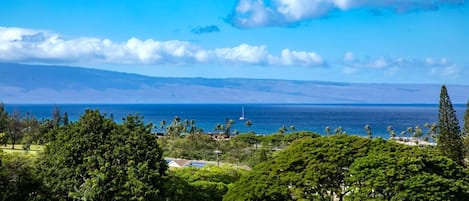 Condo (2 Bedrooms) | Front of property