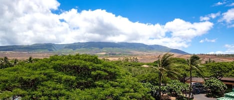 Apartment (4 Bedrooms) | Fassade der Unterkunft