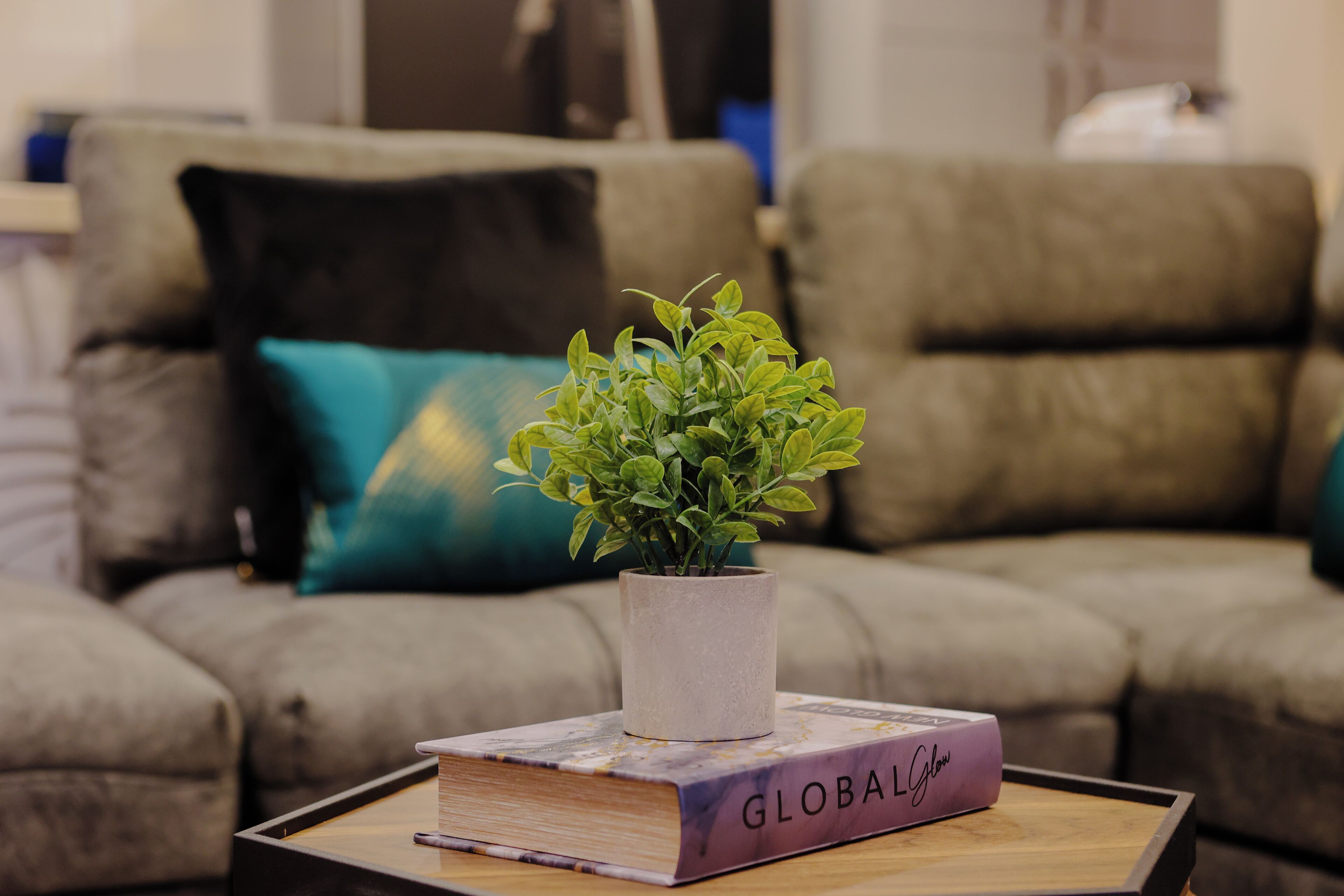 Une bibliothèque sur laquelle se trouve un livre intitulé « GLOBAL Glow » et une petite plante en pot, posée sur un plateau.