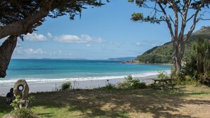 A beach with a wooden deck, a picnic table, and a large tree.