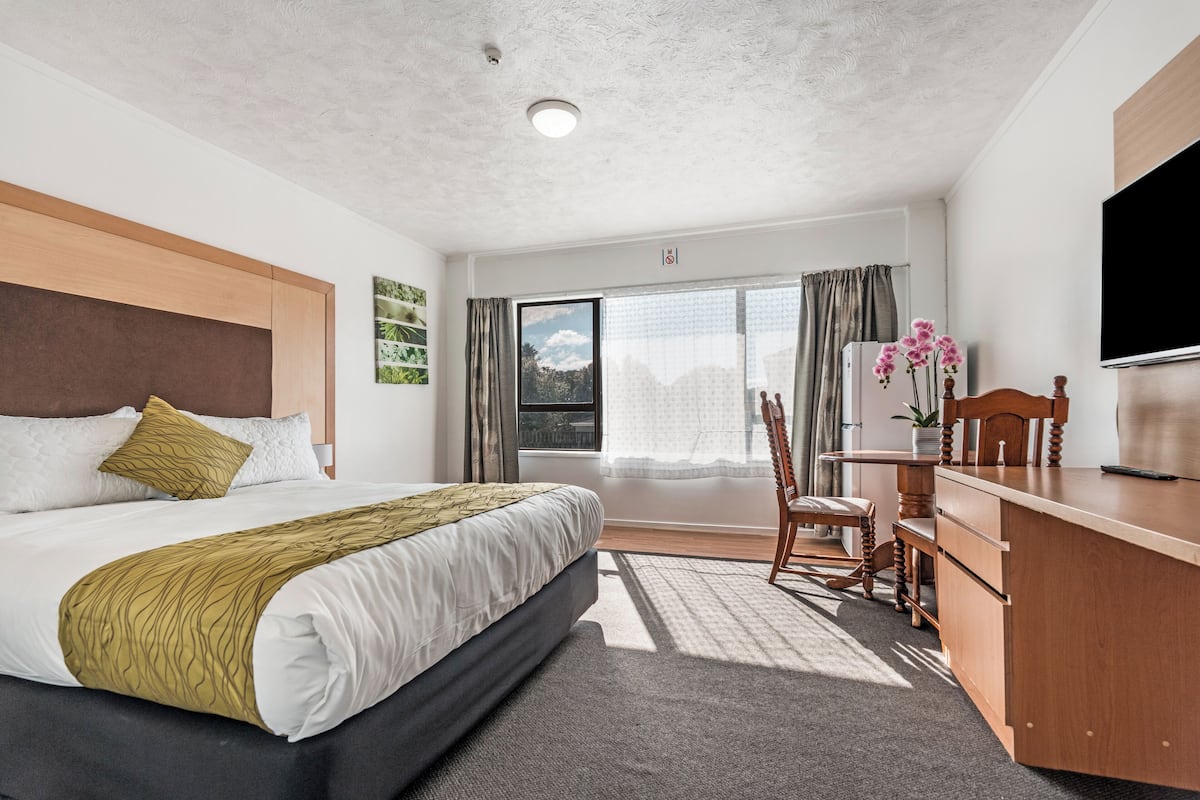 Une chambre d’hôtel avec un grand lit, un bureau, une chaise, une télévision et une vue sur l’extérieur.