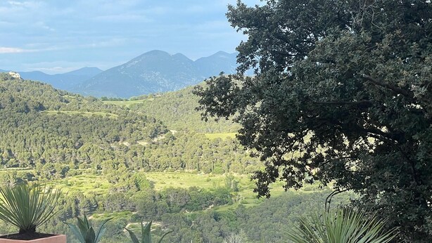 A terrace with potted agave plants and a view of a lush valley with mountains in the background. - Charming house in the Dentelles de Montmirail. Ideal for recharging your batteries! (Suzette)