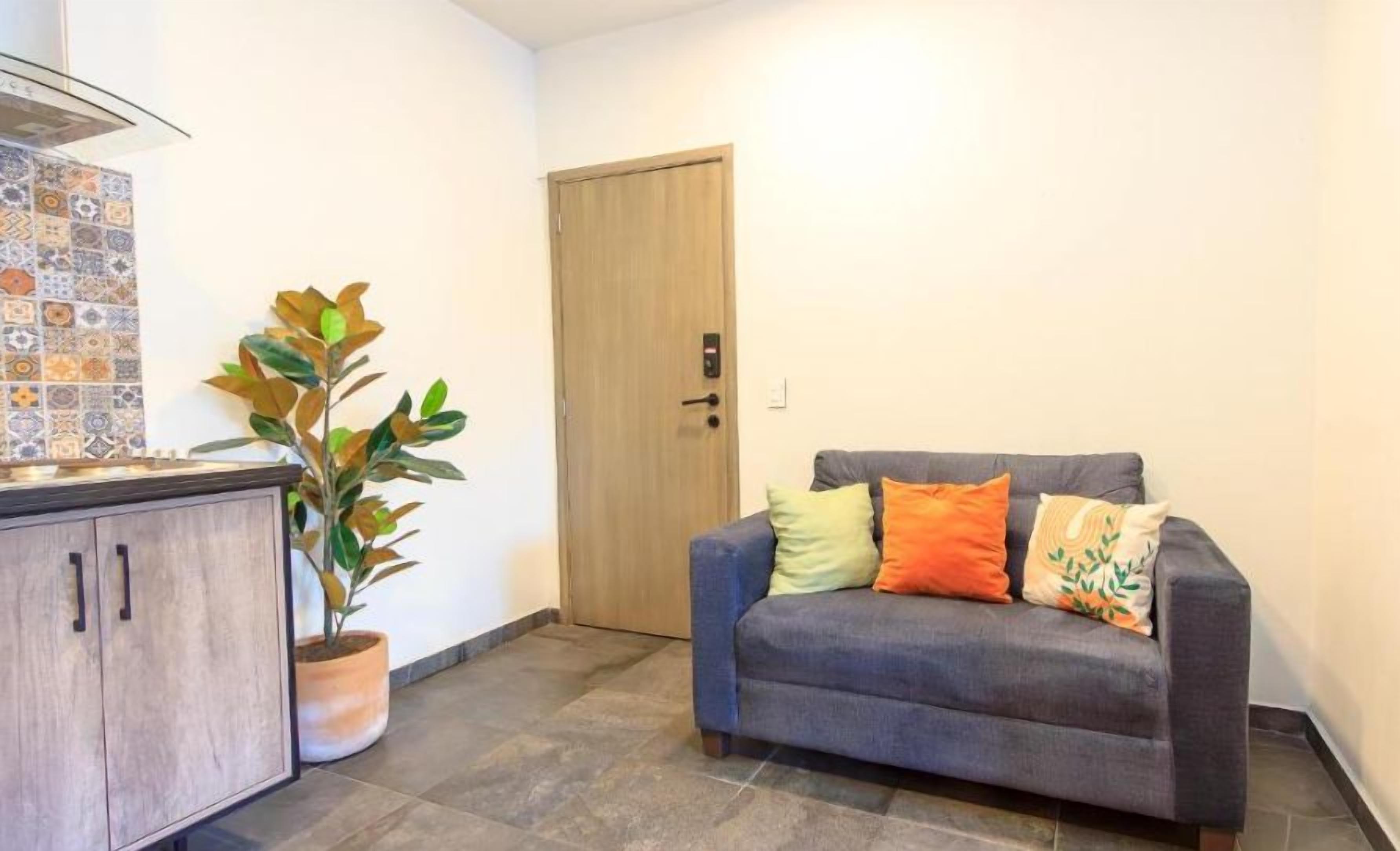 A room with a grey sofa, a wooden door, a potted plant, and a tiled backsplash.