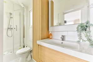 Shower, hair dryer