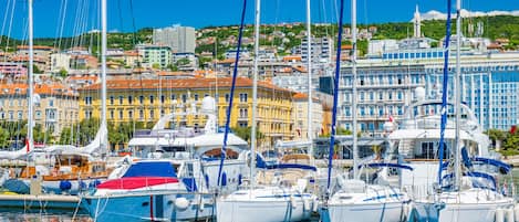 Un puerto deportivo con varios veleros amarrados, un horizonte urbano con edificios al fondo y un cielo azul despejado.