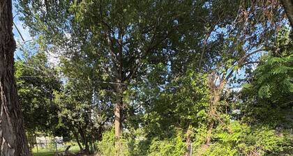 Cozy 2BR Retreat 5 Min to Ft.Hood King Suite