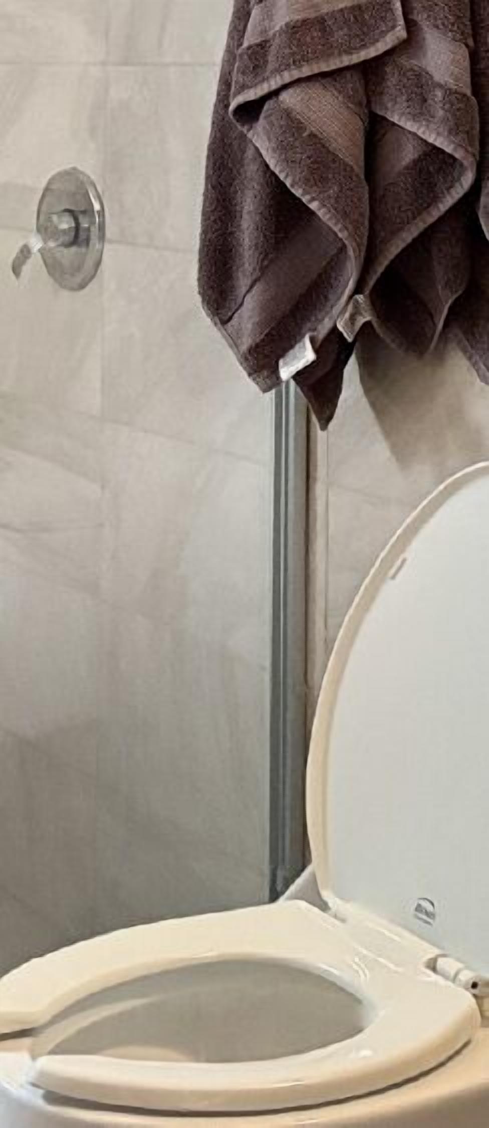 Chuveiro, toalhas de banho, sabonete, papel higiênico