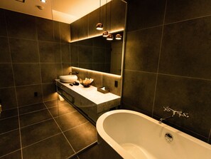 Combined shower/bathtub, free toiletries, hair dryer, shampoo