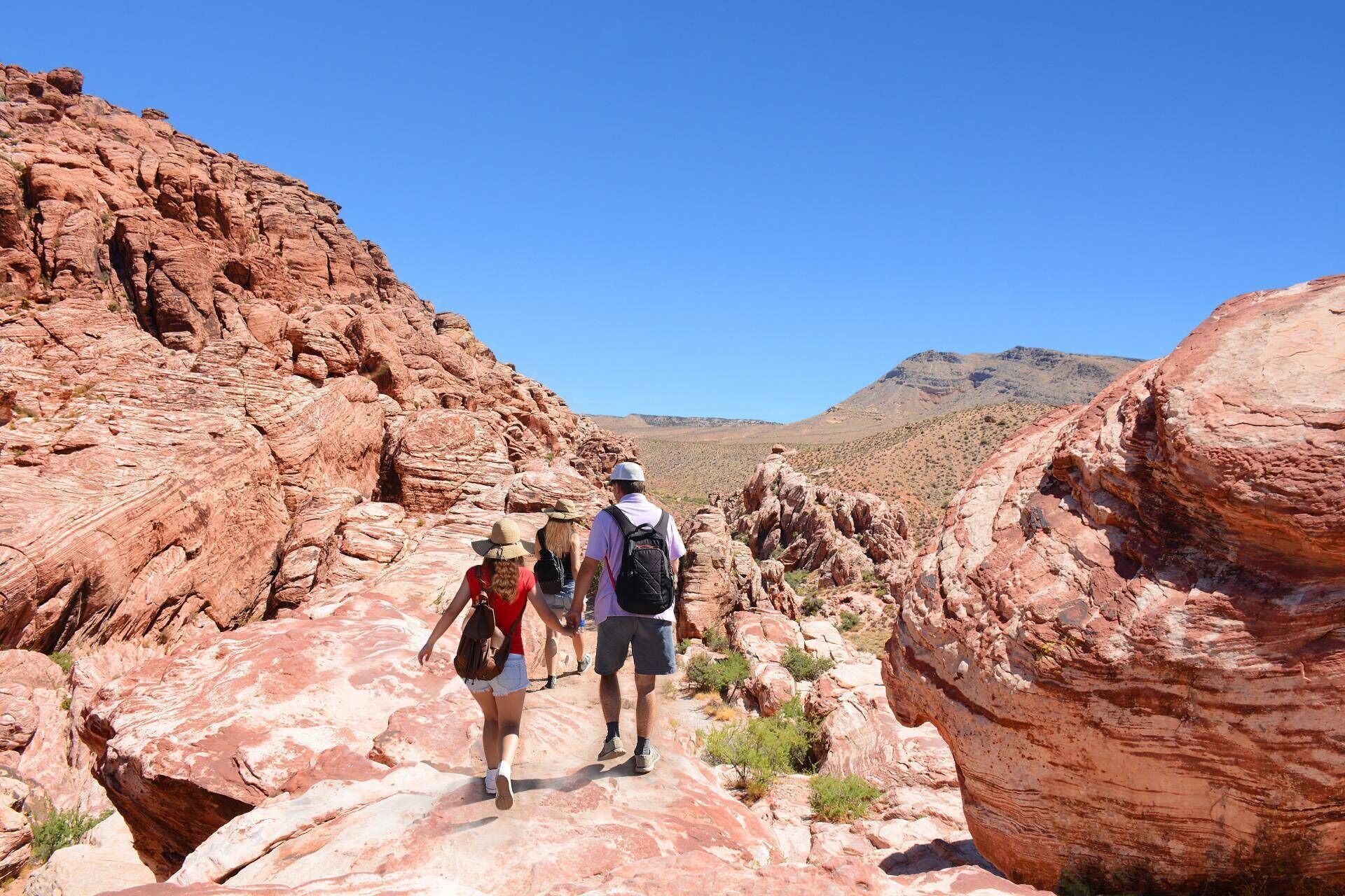 A rocky canyon with hikers.