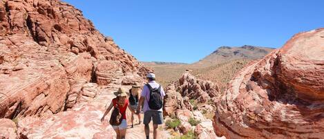 A rocky canyon with hikers.