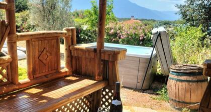 Villa familiale avec piscine pour apprécier le calme de la montagne