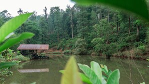Un étang paisible, avec une jetée en bois et un petit abri, le tout entouré d’une forêt dense.