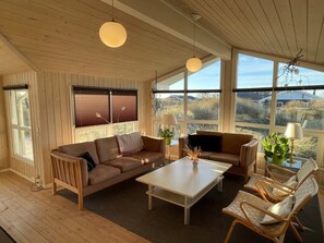 Televisión, chimenea y reproductor de DVD 