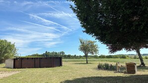 Un espacio al aire libre con césped, una estructura de madera, un árbol y cielo despejado.
