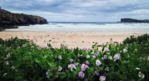 Ein Strand mit Wellen, felsigen Klippen und violetten Blüten im Vordergrund.