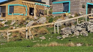 A wooden cabin with a ladder leading to a loft bedroom, surrounded by a stone wall and a wooden fence. - Oldshoremore Croft Cabins (Oldshore)
