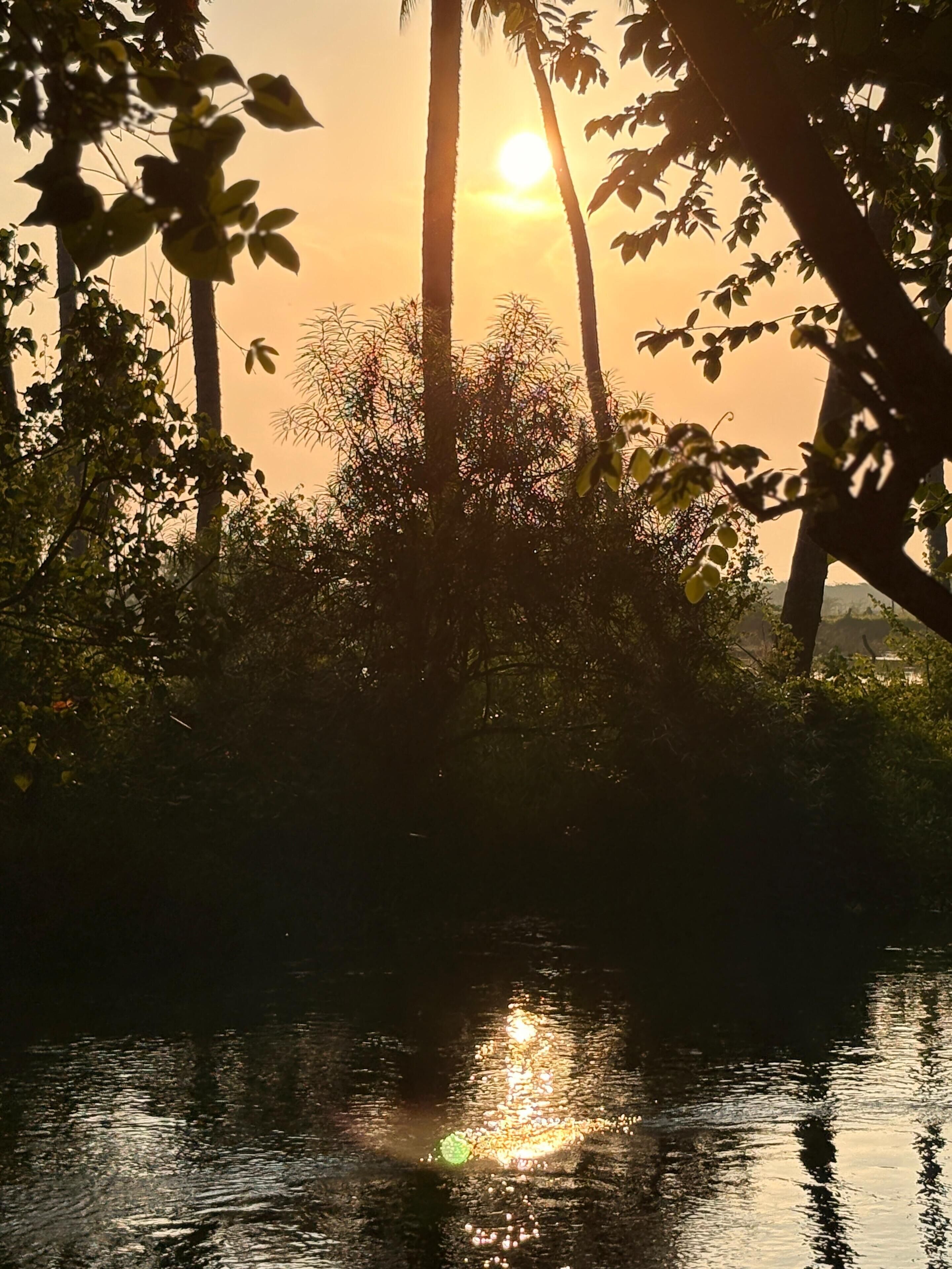 家庭小屋, 河景 | 花园景观
