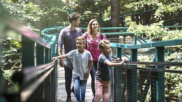 A family walking on a wooden bridge surrounded by greenery.