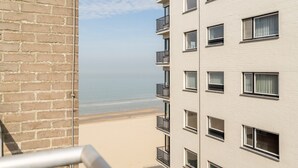 施設の敷地