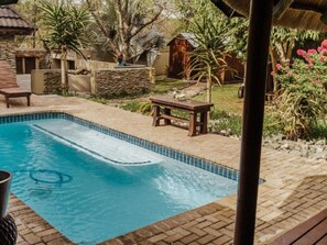 Outdoor pool - Bothabelo Luxury Villas (Phalaborwa)