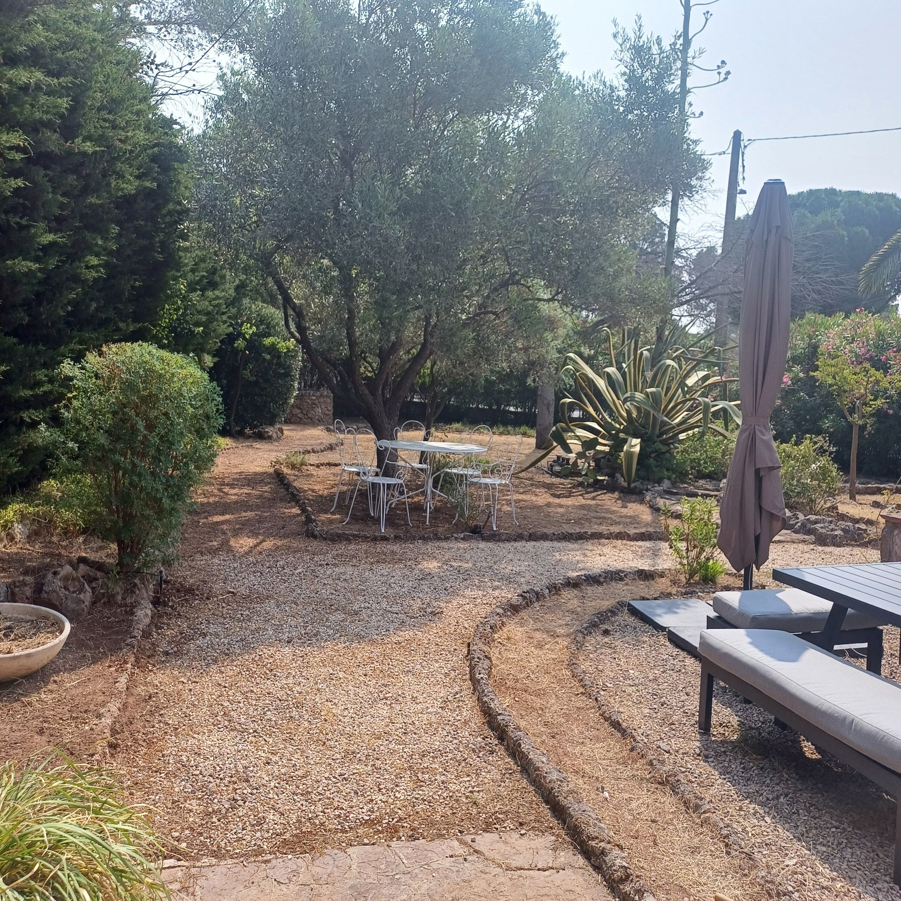A garden patio with a table and chairs, surrounded by trees and plants.