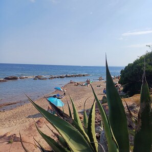 Gandules de platja