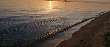 Playa en los alrededores, camastros y sombrillas