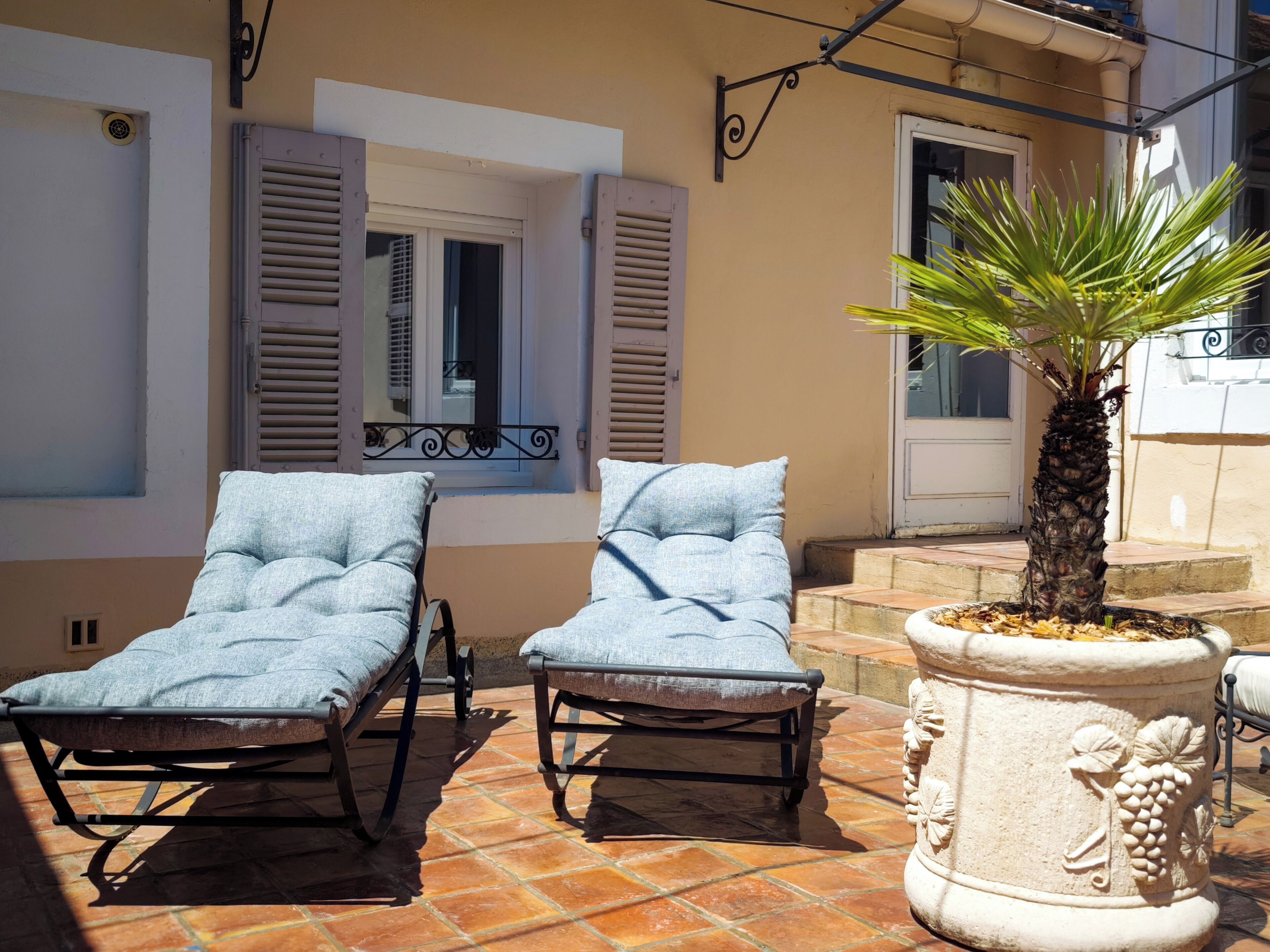 Two lounge chairs with cushions, a potted palm tree, and a tiled patio area.