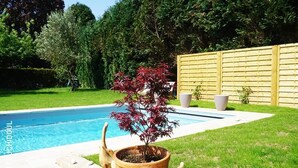 Une piscine avec un petit arbre et des animaux décoratifs en premier plan.
