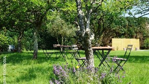 Un espace extérieur aménagé avec des tables et des chaises, entouré d’arbres et d’herbe.