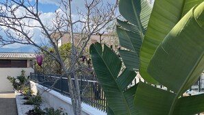 A garden with a variety of plants, a white wall, and a metal fence. - Mary House (Scauri)