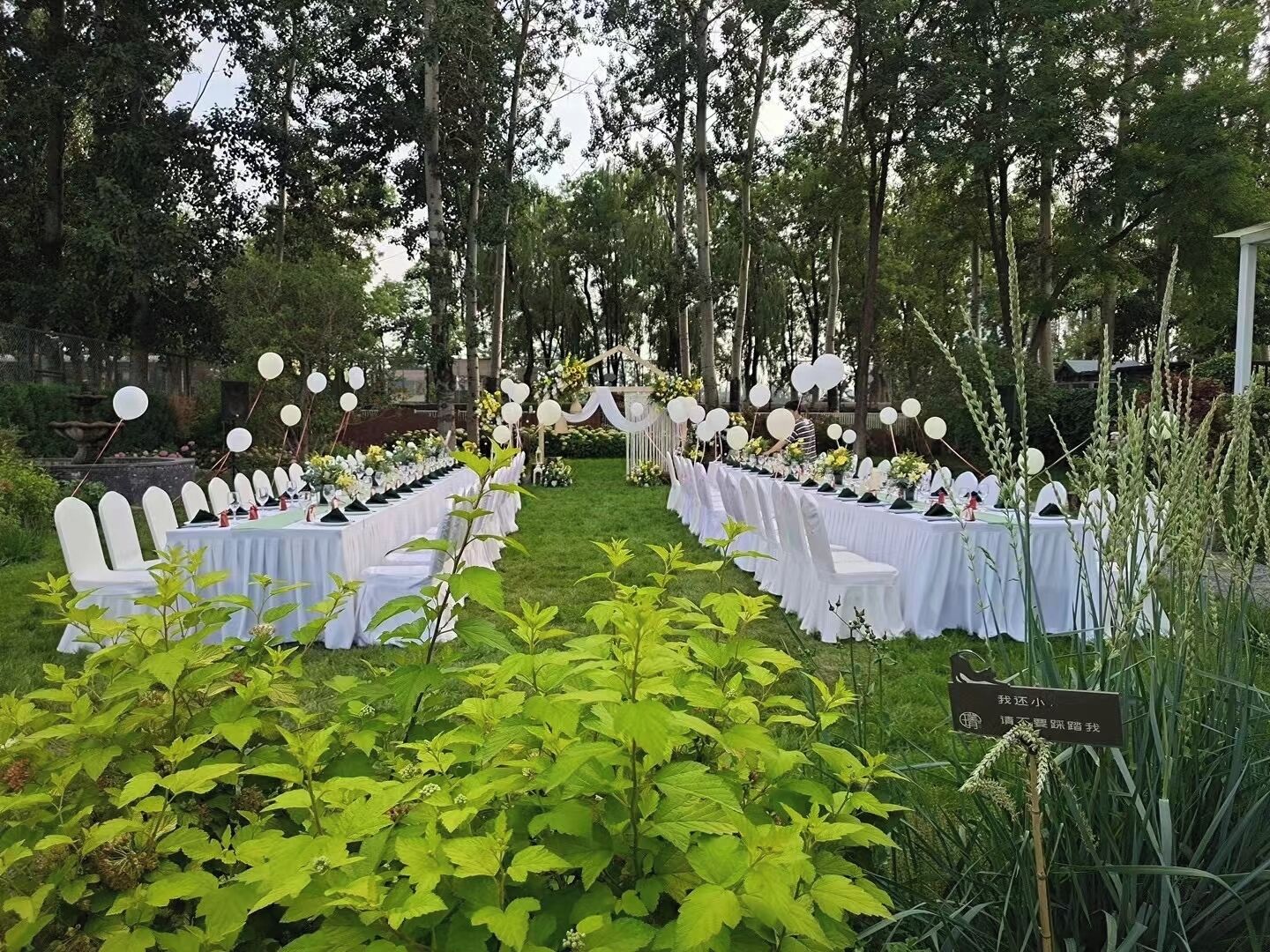 An outdoor event with tables set up for guests, surrounded by greenery and trees.