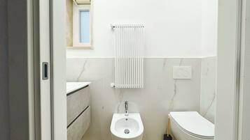 Shower, hair dryer, bidet, towels
