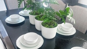 Mesa de jantar posta com pratos e tigelas brancos, rodeada por cadeiras e plantas em vasos.