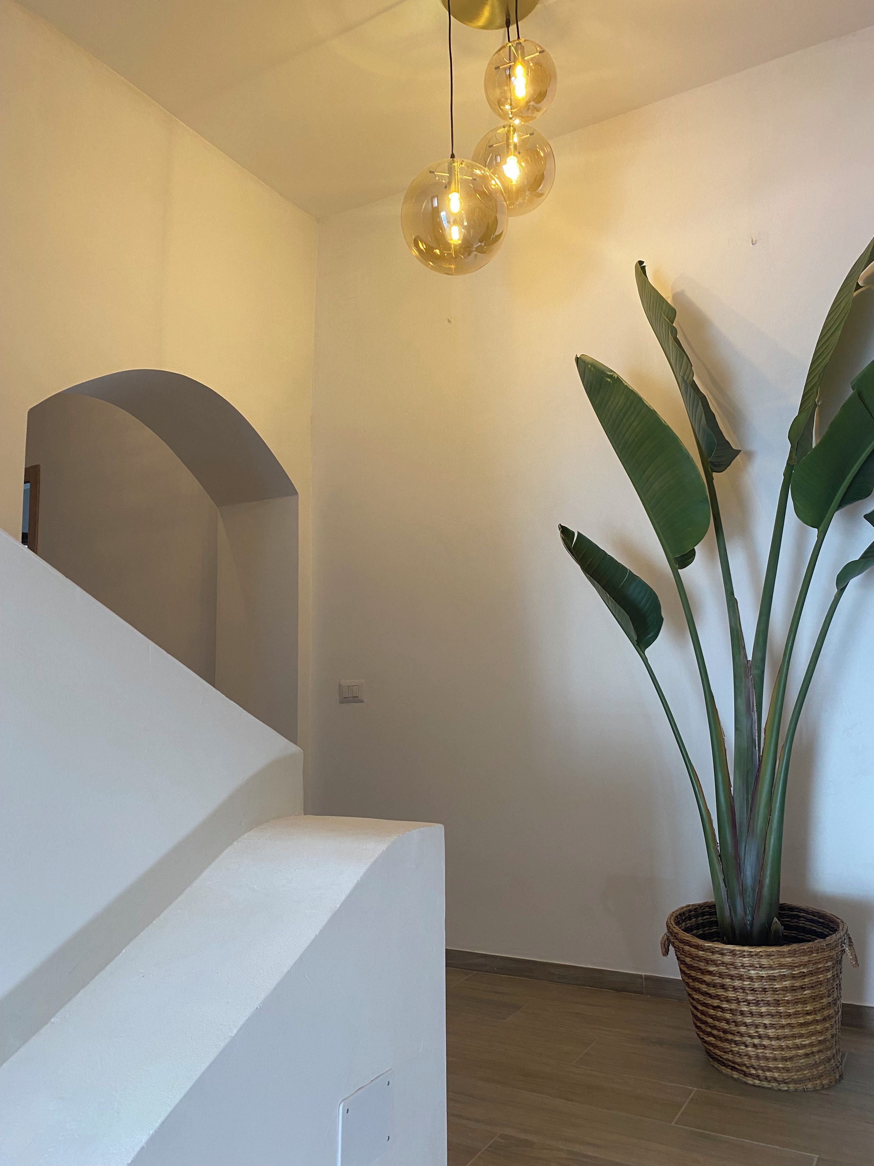 Un escalier avec un mur blanc et une plante en pot.